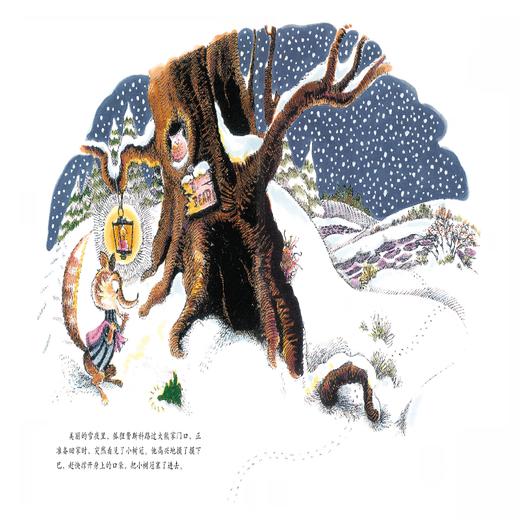 威廉先生的圣诞树  商品图7