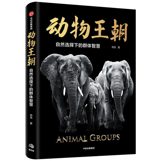 动物王朝 自然选择下的群体智慧 冉浩 著 预售 动物群体行为 动物世界 博物君张辰亮推荐 大自然智慧  中信出版社 商品图3