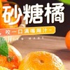 【朱珠水果】正宗沙糖桔 超薄皮 商品缩略图0