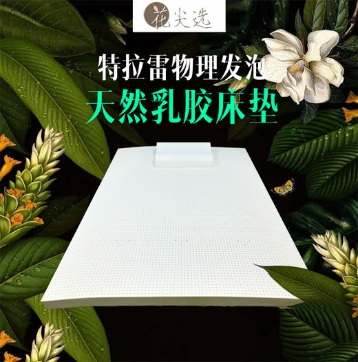 测评优品-特拉雷物理发泡工艺乳胶床垫 柔软贴合、弹性充足，93%天然乳胶 商品图0