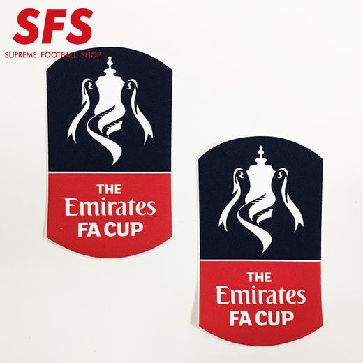 SFS英超07/13 13/17 17/19赛季联赛臂章 社区盾联赛杯卫冕冠章 商品图3