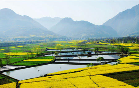 3月23日中国醉美陕南汉中油菜花节、华阳金丝猴六天摄影采风团 商品图2