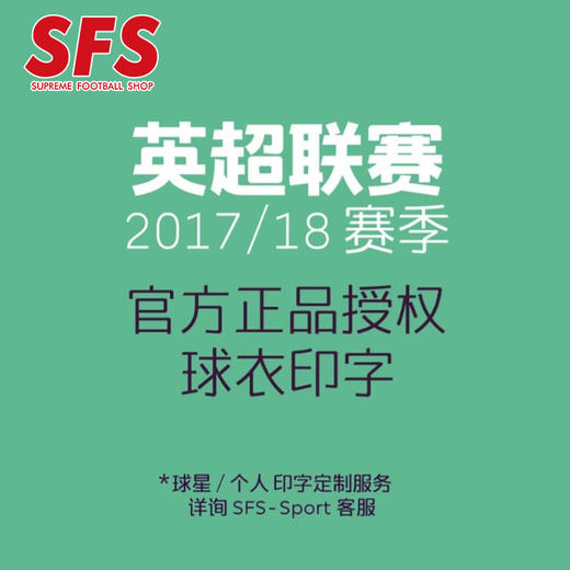 SFS 2017-2019赛季英超联赛球员版印号 胶质 个性定制 商品图1