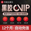 【单笔订单购买数量为1，请勿叠加下单】网易云音乐黑胶VIP会员12个月直充 自动充值 商品缩略图0