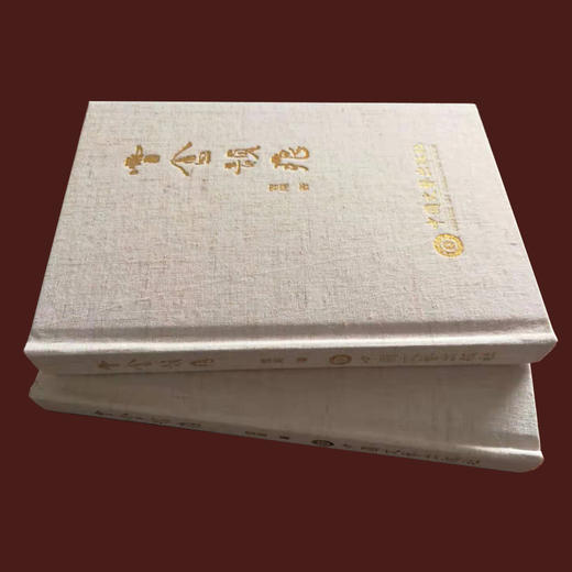 《雪庵韵痕》诗集｜风致嫣然，别是一家——诗词世界2016年度新锐女诗人 商品图1