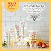 好价！Burt's Bees 天然美白牙膏3只装 商品缩略图2