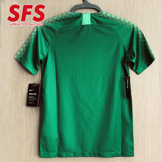 SFS耐克正品2019中超北京国安儿童球衣 主场大童球迷服AR8702-303 商品图1