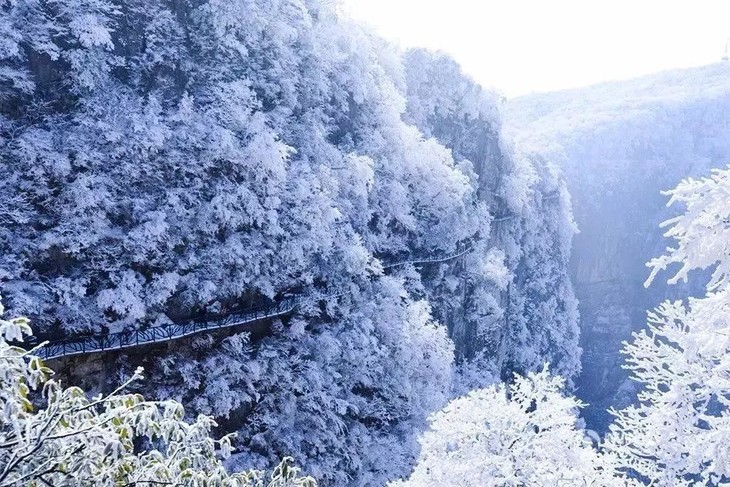 妈网自由行大年初一至初五大明山滑雪大明山高山滑雪体验冬天的真正