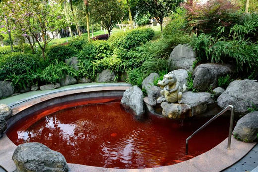 【绵阳-罗浮山绵州温泉酒店】冬日泡汤,夏季避暑,罗浮山下的亲子度假