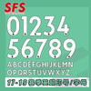 SFS 2017-2019赛季英超联赛球员版印号 胶质 个性定制 商品缩略图0