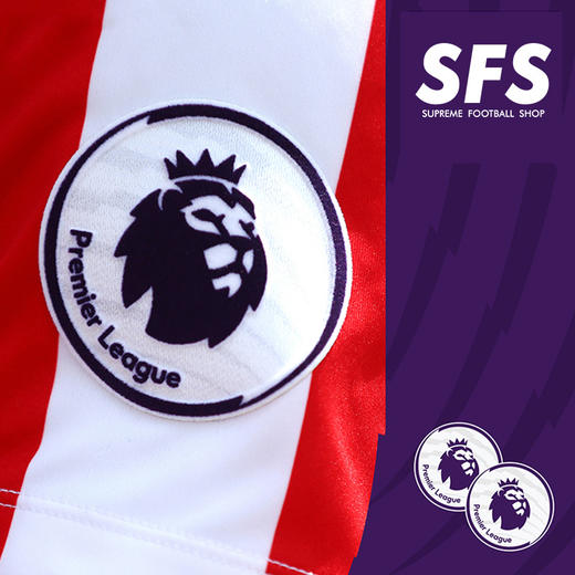 SFS  2016-2019赛季英超联赛 植绒臂章 普章 商品图1