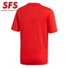 SFS正品:阿迪达斯2018世界杯西班牙大童球衣主场短袖足球服BR2713 商品缩略图1