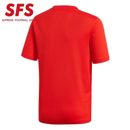 SFS正品:阿迪达斯2018世界杯西班牙大童球衣主场短袖足球服BR2713 商品图1