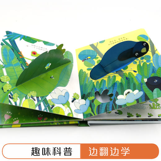 雨林/尤斯伯恩偷偷看里面 商品图3