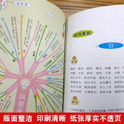 思维导图作文 小学生作文辞海 商品图2