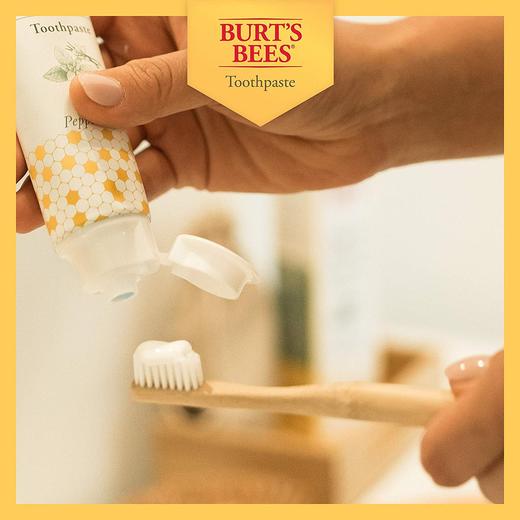 好价！Burt's Bees 天然美白牙膏3只装 商品图1