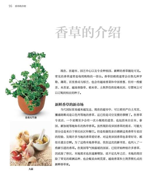 DK生活.香草与香料 商品图1