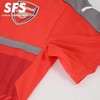 SFS 彪马正品 1617阿森纳球员版训练服 短袖T恤 运动服749753 10 商品缩略图3