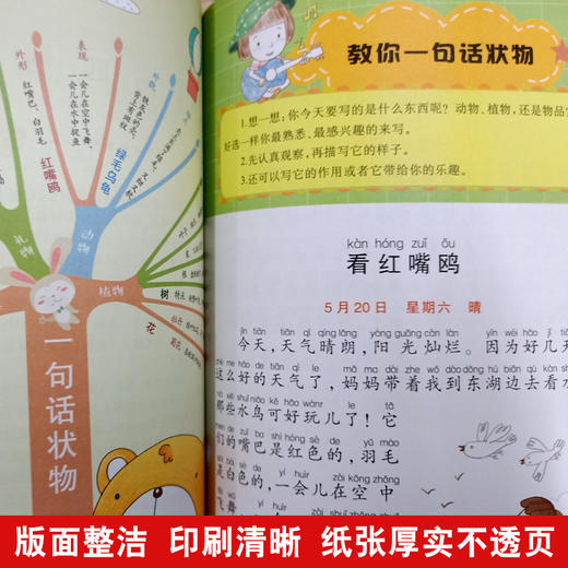 思维导图作文 小学生一句话日记 商品图2