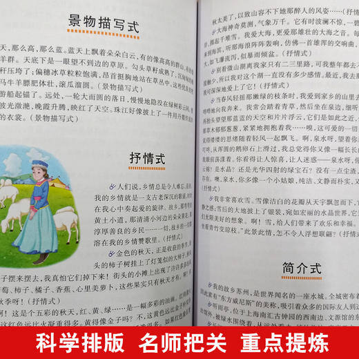 思维导图作文 中学生好开头好结尾 商品图3