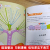 思维导图作文 小学生作文400字 商品缩略图2