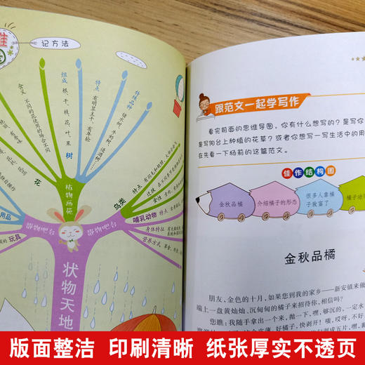 思维导图作文 小学生作文400字 商品图2
