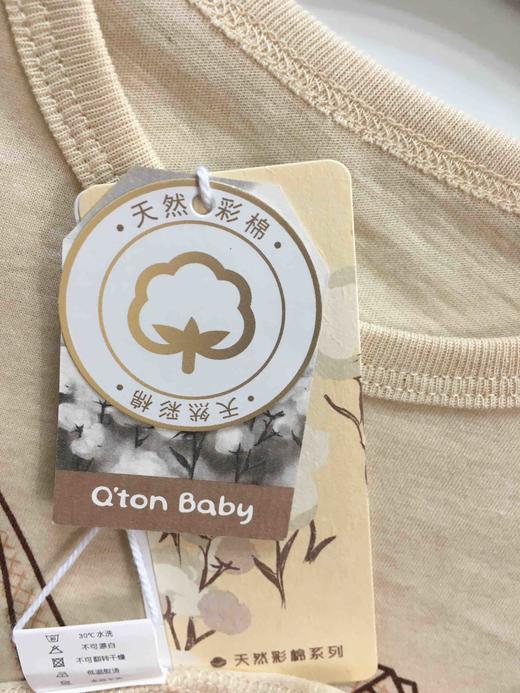 棉果果夏季新疆彩棉纯棉套头圆领T恤M201140120211 商品图4