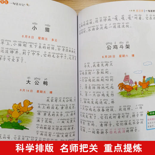 思维导图作文 小学生一句话日记 商品图3