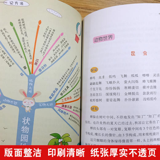 思维导图作文 中学生好词好句好段 商品图2