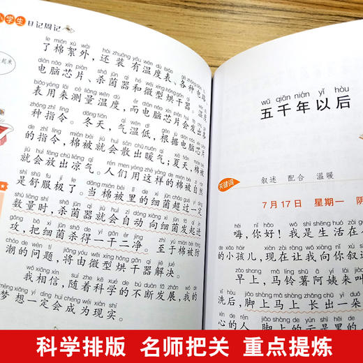 思维导图作文 小学生日记周记 商品图3