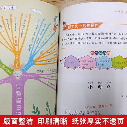思维导图作文 小学生日记起步 商品图2