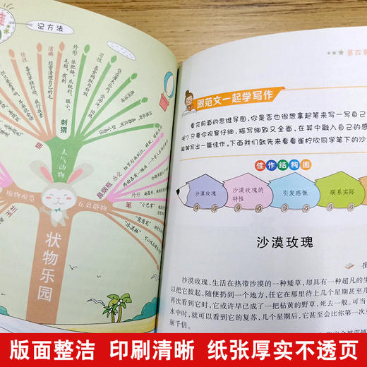 思维导图作文 中学生优秀作文 商品图2