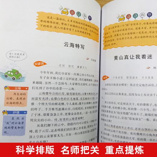 思维导图作文 小学生作文300字 商品图3