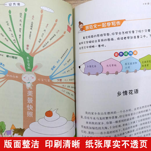 思维导图作文 小学生满分作文 商品图2