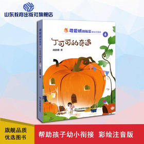 可爱城的秘密4丁可可的奇遇  著名儿童文学作家商晓娜力作 美绘注音童话