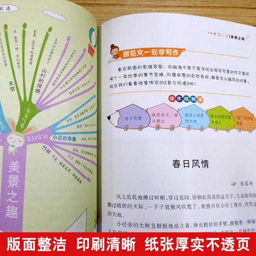 思维导图作文 小学生作文300字 商品图2