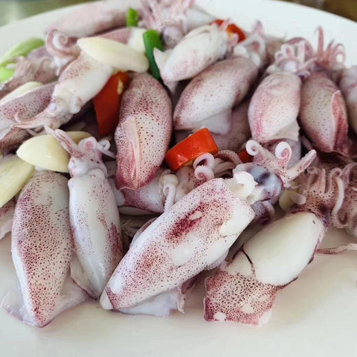 港岛姑娘 一口管码头直发小管鲜脆鲜甜海兔笔管鱿鱼肉质Q弹400g/盒活冻 商品图1