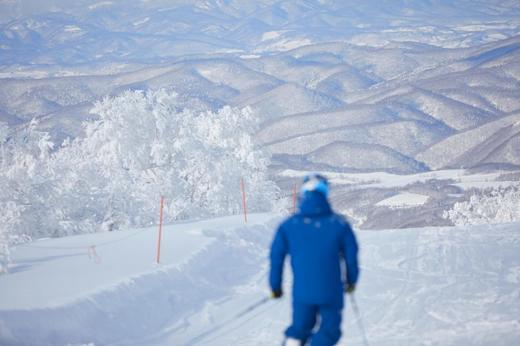 “粉雪天堂”北海道Kiroro＋札幌7日6晚滑雪观光之旅3月7日出发 商品图4