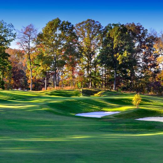 荣誉球场 The Honors Course | 世界百佳| 美国球场 USA 商品图0