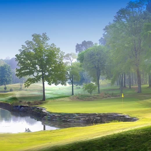 荣誉球场 The Honors Course | 世界百佳| 美国球场 USA 商品图1