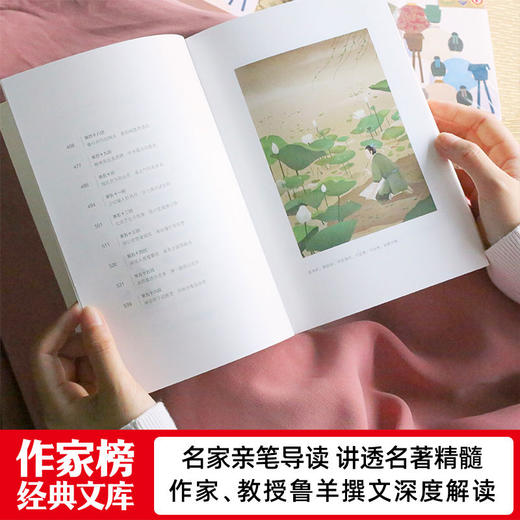 【预售】《儒林外史》+《镜花缘》| 清代古典小说大成之作 商品图11