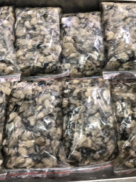 海蛎 商品图1