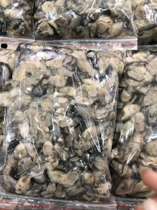 海蛎 商品图0