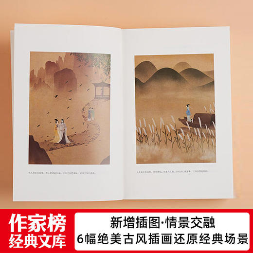 【预售】《儒林外史》+《镜花缘》| 清代古典小说大成之作 商品图3