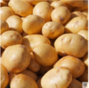 内蒙古黄心土豆2.5元/斤 商品缩略图2