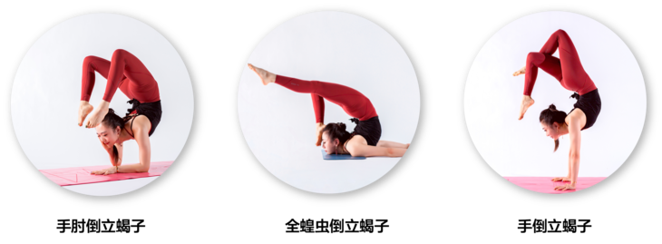 Mix Level倒立后弯 陈菲fay级混合流动序列与蝎子式精讲视频