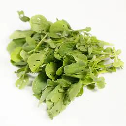 时令蔬菜套餐（8份蔬菜，每份350克，新鲜采摘） 商品图6