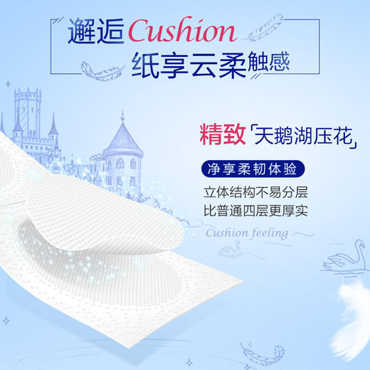 Tempo源自德国1929 得宝卷纸 4层160g 有芯卷筒纸巾 天然无香 德宝 整箱销售 柔韧升级 新包装随机发货 商品图3