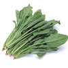 菠菜每公斤 商品缩略图0