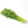 润绿生态园-芹菜  5斤装（每人每天限购5斤，次日发） 商品缩略图1
